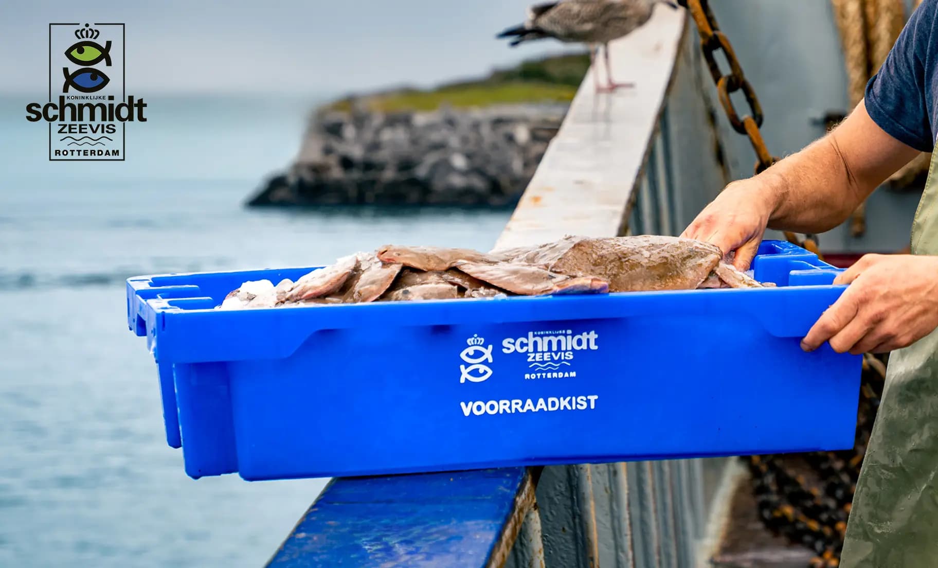 Visboer van de sterren